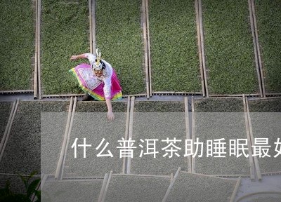 什么普洱茶助睡眠最好的/2023082811714