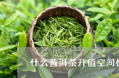 什么普洱茶升值空间快/2023080188496