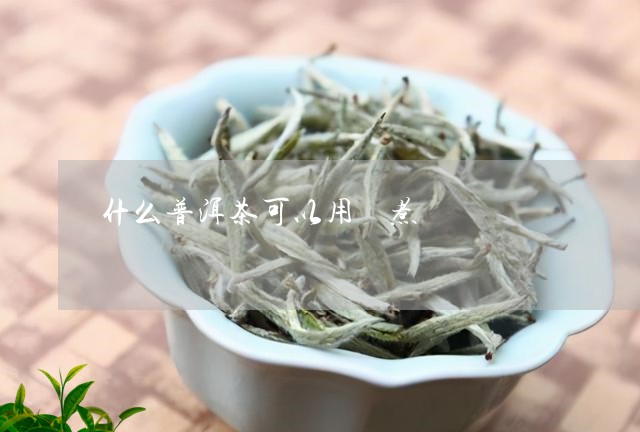 什么普洱茶可以用壸煮/2023092737050