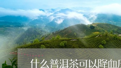 什么普洱茶可以降血压/2023062161582