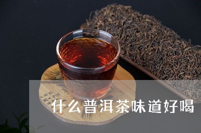 什么普洱茶味道好喝/2023070996571