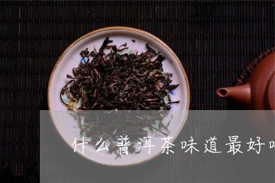 什么普洱茶味道最好喝/2023073186047