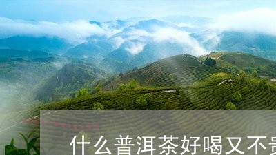 什么普洱茶好喝又不贵/2023100843513