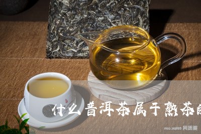 什么普洱茶属于熟茶的一种/2023112435927