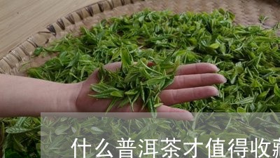 什么普洱茶才值得收藏/2023120695148