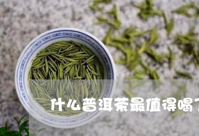 什么普洱茶最值得喝了/2023063002749