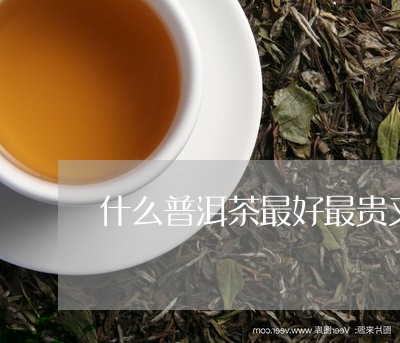 什么普洱茶最好最贵又好喝/2023082888704