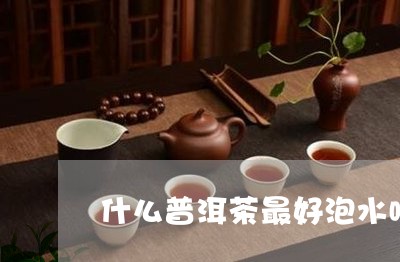 什么普洱茶最好泡水喝/2023120663836