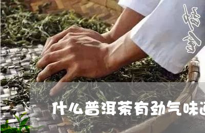 什么普洱茶有劲气味道/2023110533713