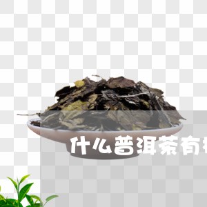 什么普洱茶有樟香香味儿/2023110113938