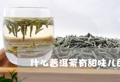 什么普洱茶有甜味儿的香味/2023082877572