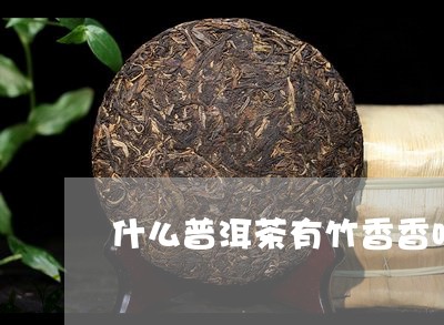 什么普洱茶有竹香香味儿/2023110161815