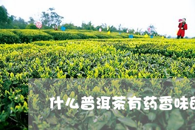 什么普洱茶有药香味的茶叶/2023082878503