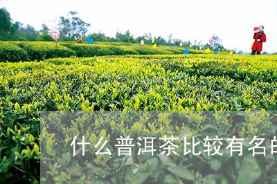 什么普洱茶比较有名的产地/2023112584704