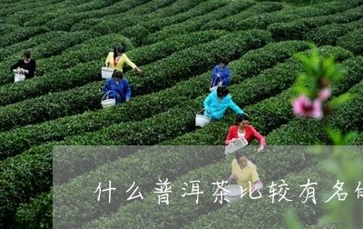 什么普洱茶比较有名的品牌/2023112585158