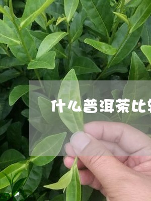 什么普洱茶比较高档好/2023082806068