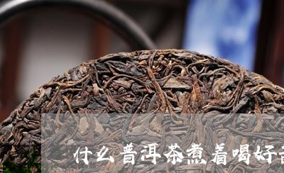 什么普洱茶煮着喝好苦啊/2023050627060