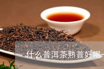 什么普洱茶熟普好喝一点/2023081614860