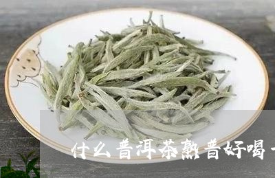 什么普洱茶熟普好喝一点/2023102441825