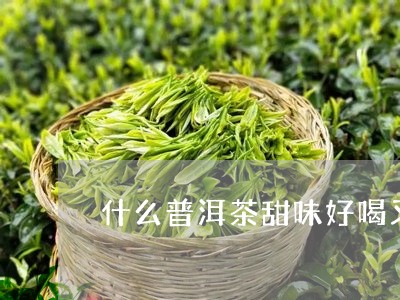 什么普洱茶甜味好喝又好喝/2023112488673