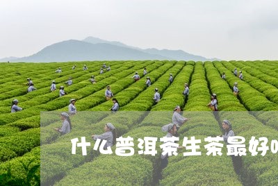 什么普洱茶生茶最好喝/2023070192137