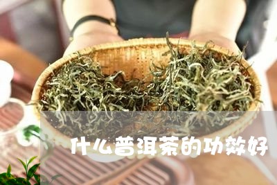 什么普洱茶的功效好/2023120649491