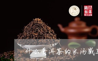 什么普洱茶的米汤感足/2023093040471