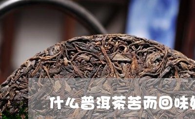 什么普洱茶苦而回味好/2023072483155