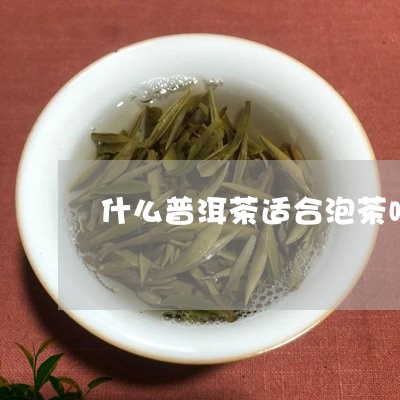 什么普洱茶适合泡茶喝最好/2023110585937