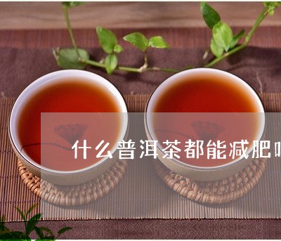 什么普洱茶都能减肥吗/2023073085928