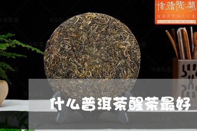 什么普洱茶醒茶最好/2023070976158