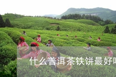 什么普洱茶铁饼最好喝/2023073195070