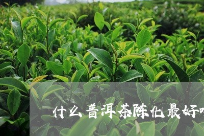 什么普洱茶陈化最好喝又好喝/2023082891715