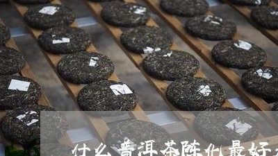 什么普洱茶陈化最好看又好喝/2023052961504