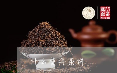 什么普洱茶饼/2023042692940