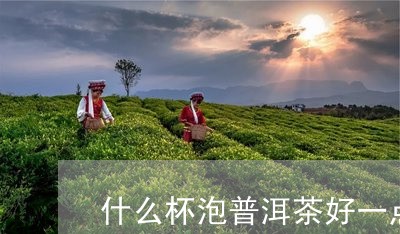 什么杯泡普洱茶好一点儿/2023110192814