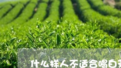 什么样人不适合喝白茶叶泡的茶/2023111415249