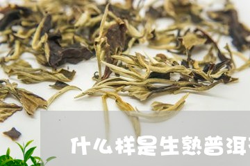 什么样是生熟普洱茶饼子/2023082743127