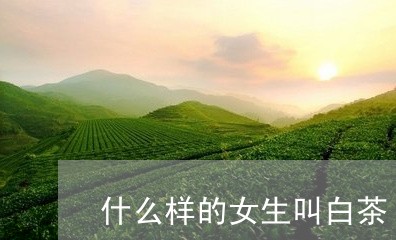 什么样的女生叫白茶/2023081293082