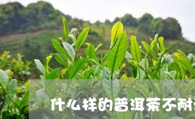 什么样的普洱茶不耐泡沫/2023081776157