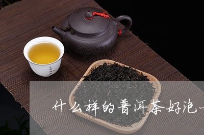 什么样的普洱茶好泡一点/2023050564815