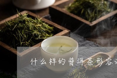 什么样的普洱茶形容词/2023072225030