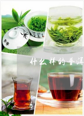 什么样的普洱茶是最好的品牌/2023052947583