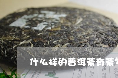 什么样的普洱茶有茶气/2023062217150