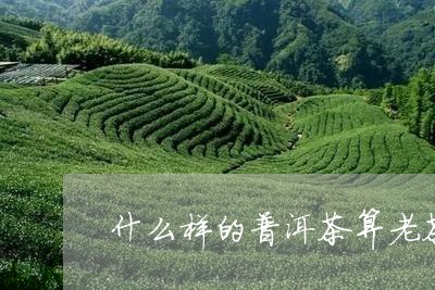 什么样的普洱茶算老茶/2023082860581