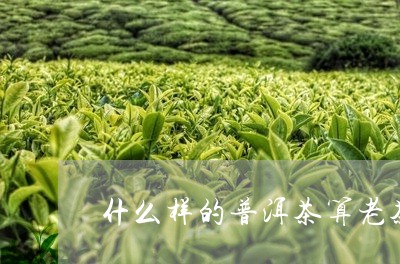 什么样的普洱茶算老茶呢/2023081438380