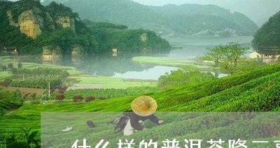 什么样的普洱茶降三高/2023092628481