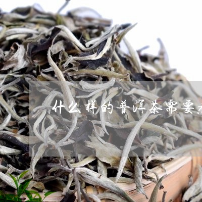 什么样的普洱茶需要煮/2023092607703