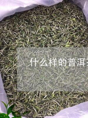 什么样的普洱茶香甜好喝/2023082778415