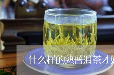 什么样的熟普洱茶才好喝/2023082871403